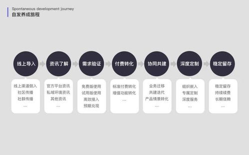 浅谈企业级SaaS产品的客户成长旅程管理（上） 个人互联网服务分析篇